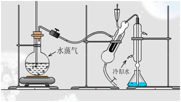 蛋白质含量的检测、原理及注意事项